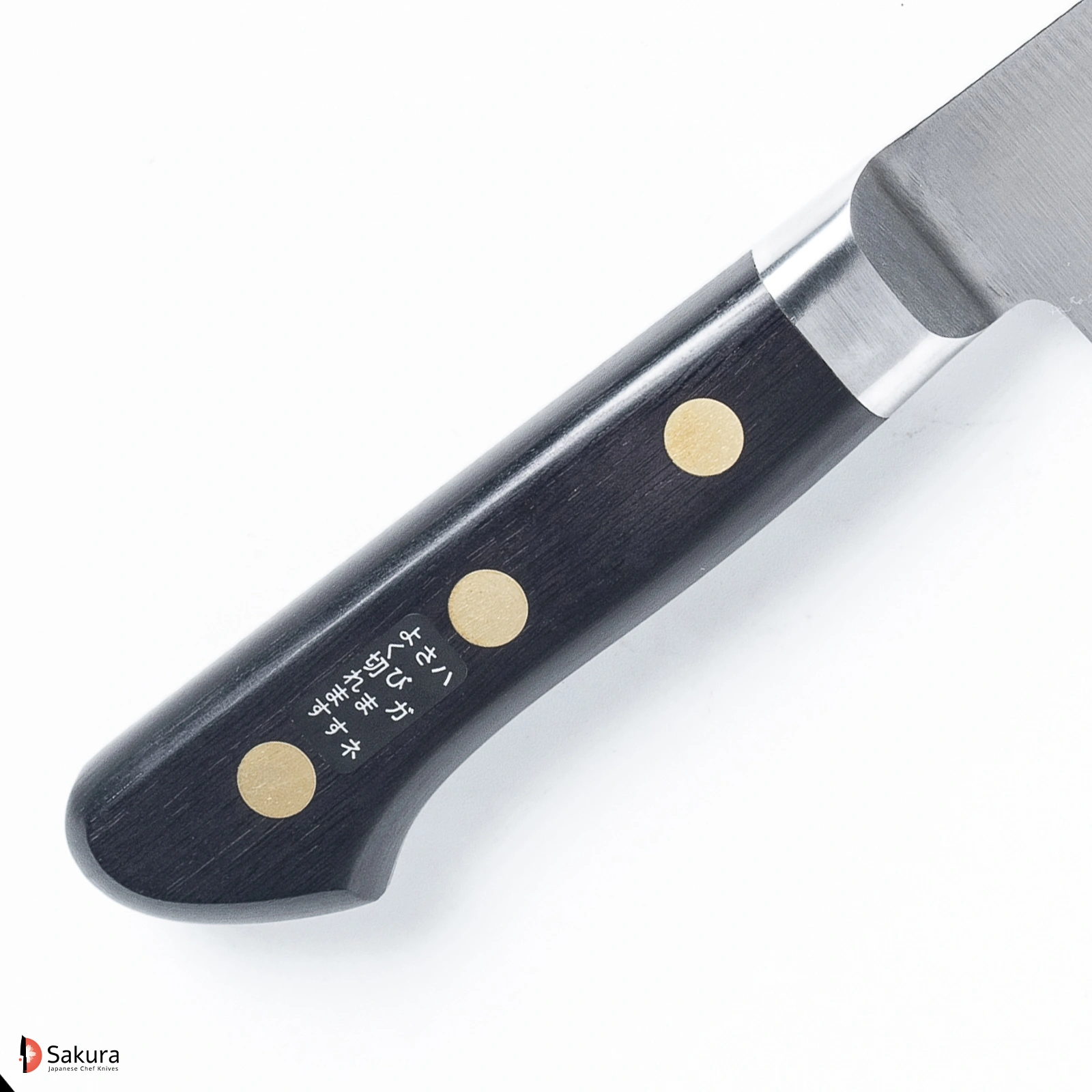 סכין שף רב תכליתית גִּיוּטוֹ 240מ״מ פלדת EU Carbon גימור מט מלוטש מיסונו יפן מק״ט SKMISMSO113D2349