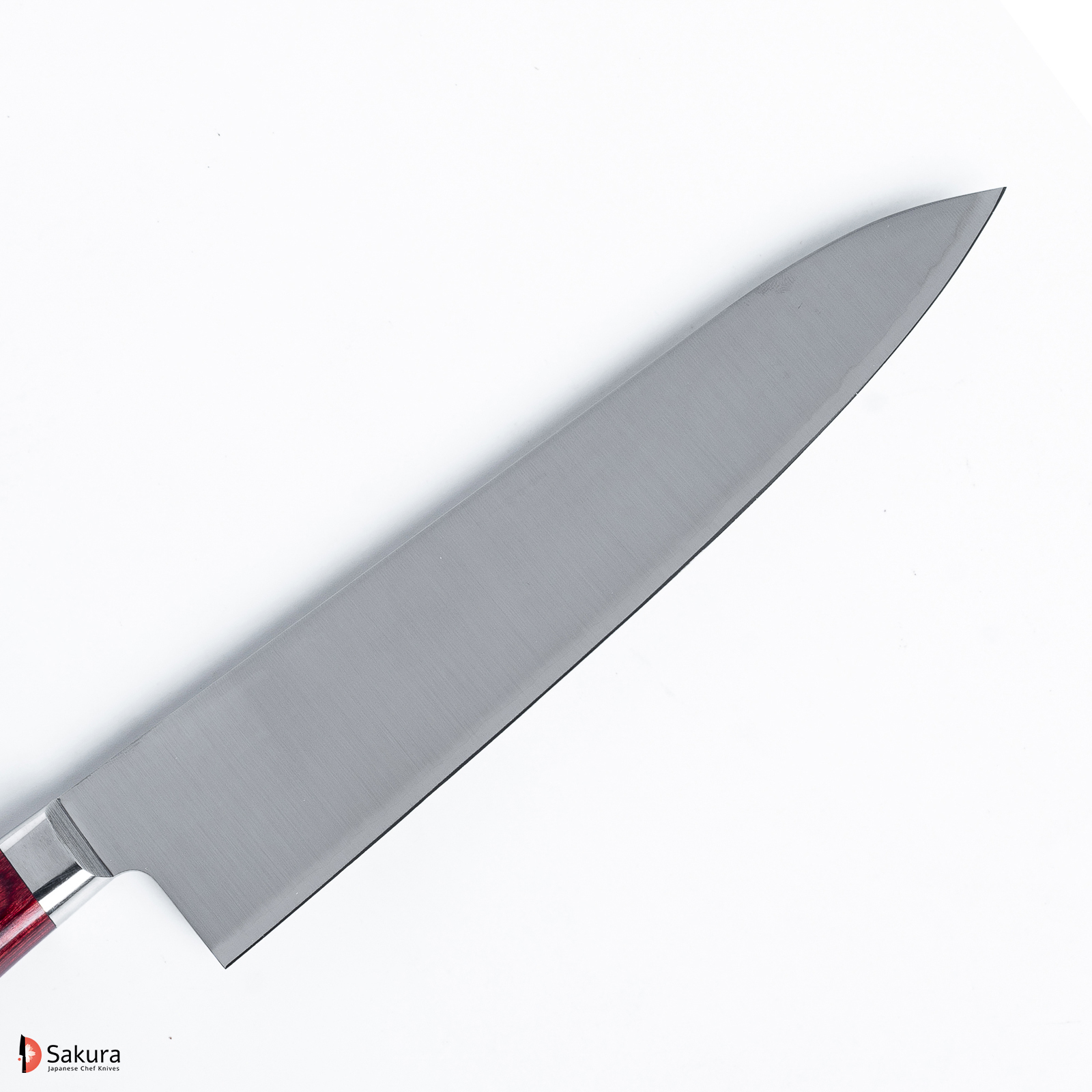 סכין שף רב תכליתית גִּיוּטוֹ 210מ״מ פלדת SG2 גימור מט מלוטש טאקאמורה יפן מק״ט SKTAKATKMTK442243